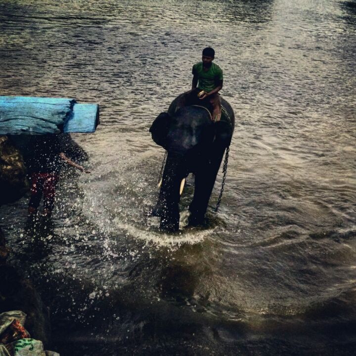 Photo of Coorg: A Trip to the Mystic Mountains 10/30 by Swarchaa