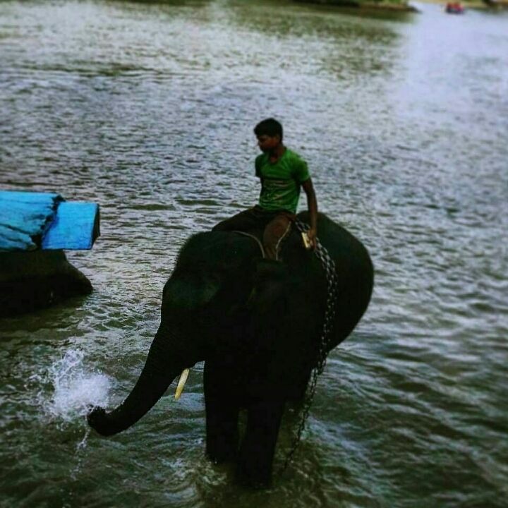 Photo of Coorg: A Trip to the Mystic Mountains 11/30 by Swarchaa