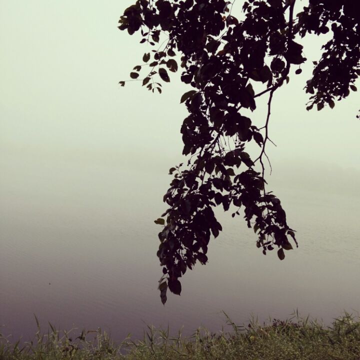 Photo of Coorg: A Trip to the Mystic Mountains 17/30 by Swarchaa