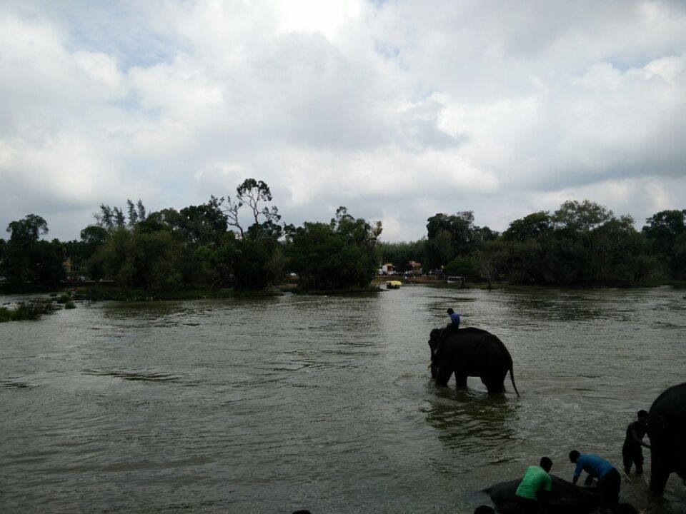 Photo of Coorg: A Trip to the Mystic Mountains 22/30 by Swarchaa