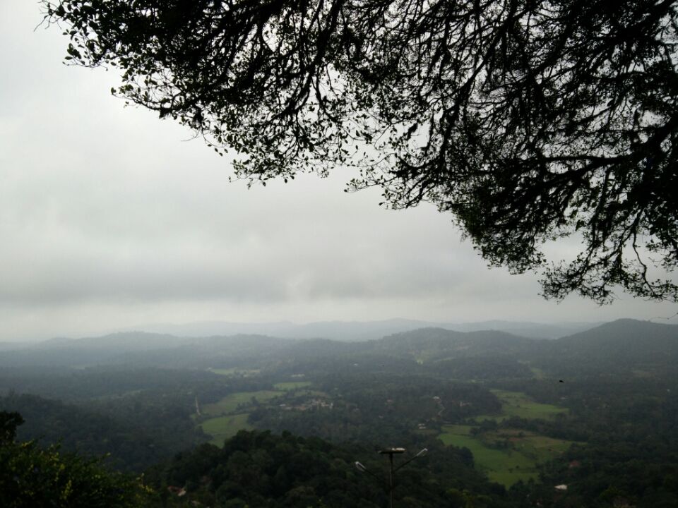 Photo of Coorg: A Trip to the Mystic Mountains 26/30 by Swarchaa