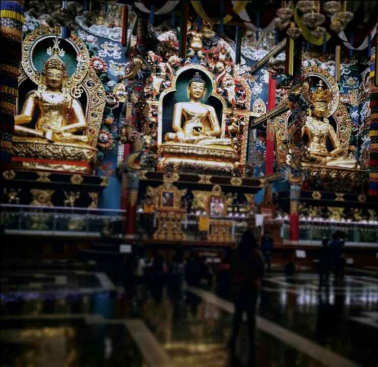 Photo of Coorg: A Trip to the Mystic Mountains 28/30 by Swarchaa