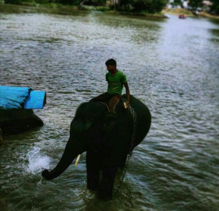 Photo of Coorg: A Trip to the Mystic Mountains 29/30 by Swarchaa