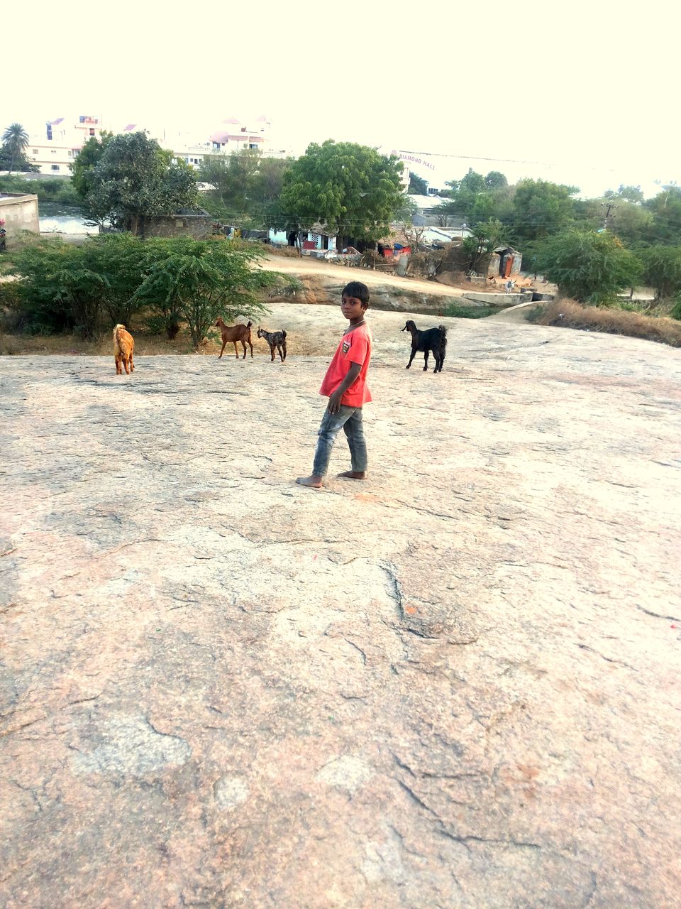 Photo of Mount Abu – PART II 22/36 by Vaishali soni