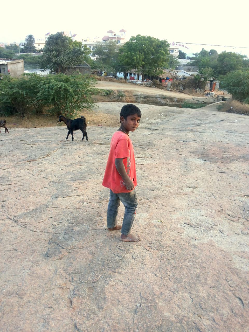 Photo of Mount Abu – PART II 23/36 by Vaishali soni