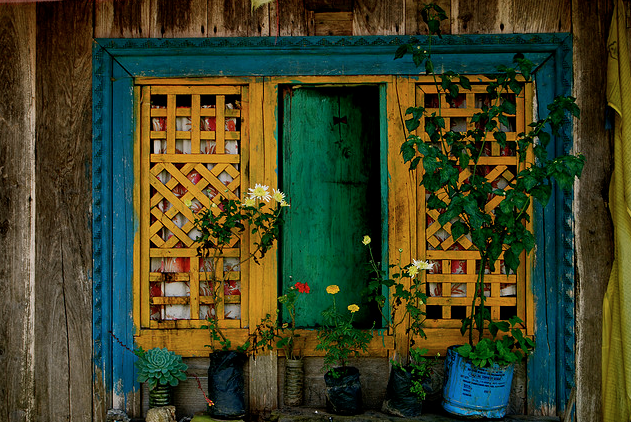 Photo of Of Mountainlife and Homestays 1/1 by Zara Mathews