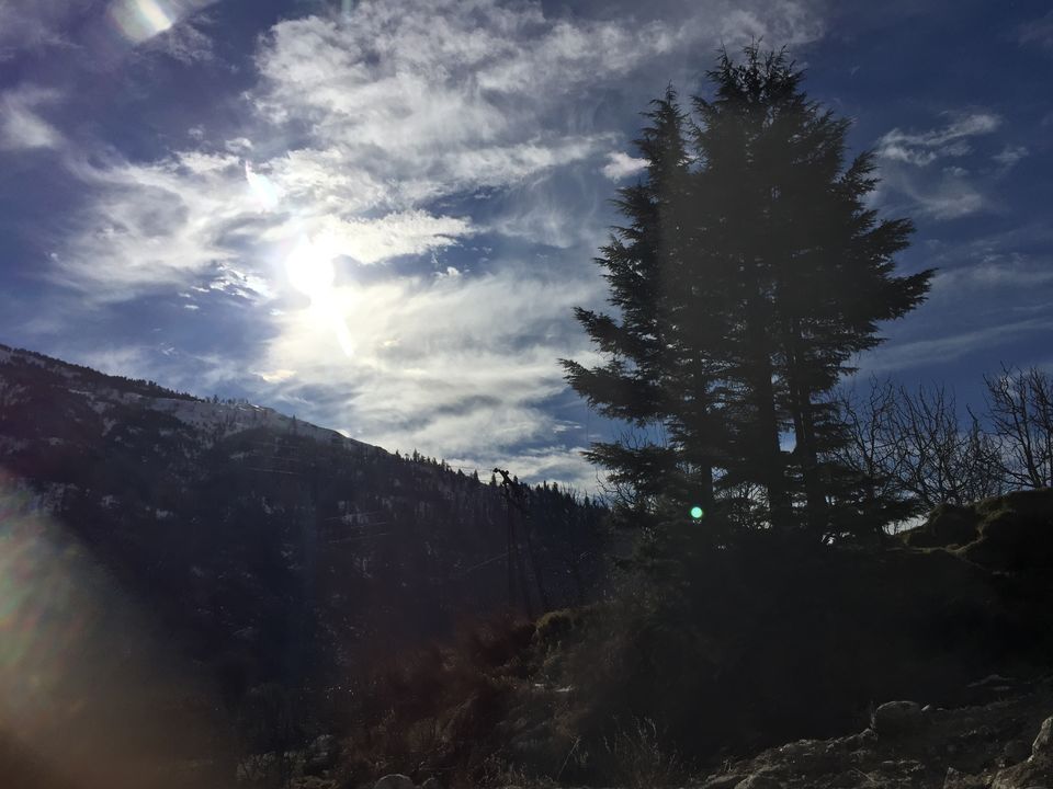Photo of Manali: Beauty Worth A Million Dollar Painting 8/35 by Shambhavi Mishra