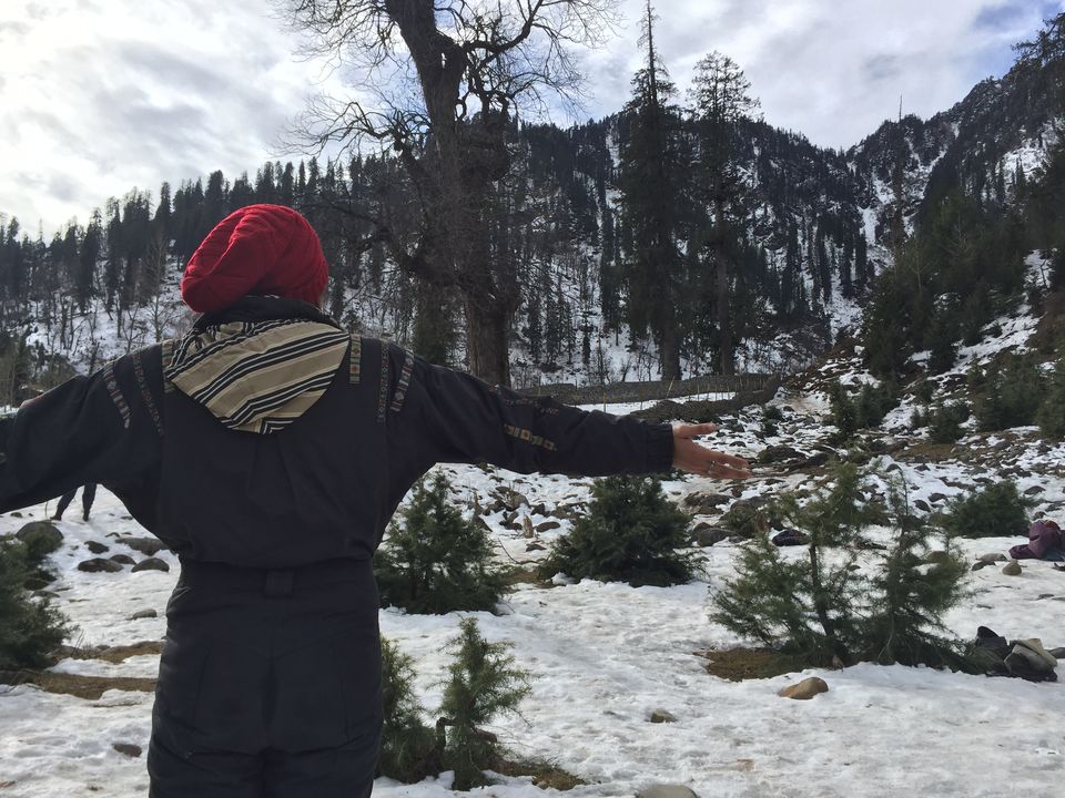 Photo of Manali: Beauty Worth A Million Dollar Painting 19/35 by Shambhavi Mishra