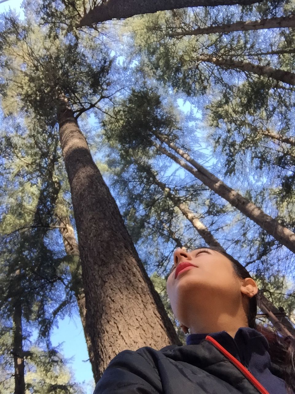 Photo of Manali: Beauty Worth A Million Dollar Painting 24/35 by Shambhavi Mishra