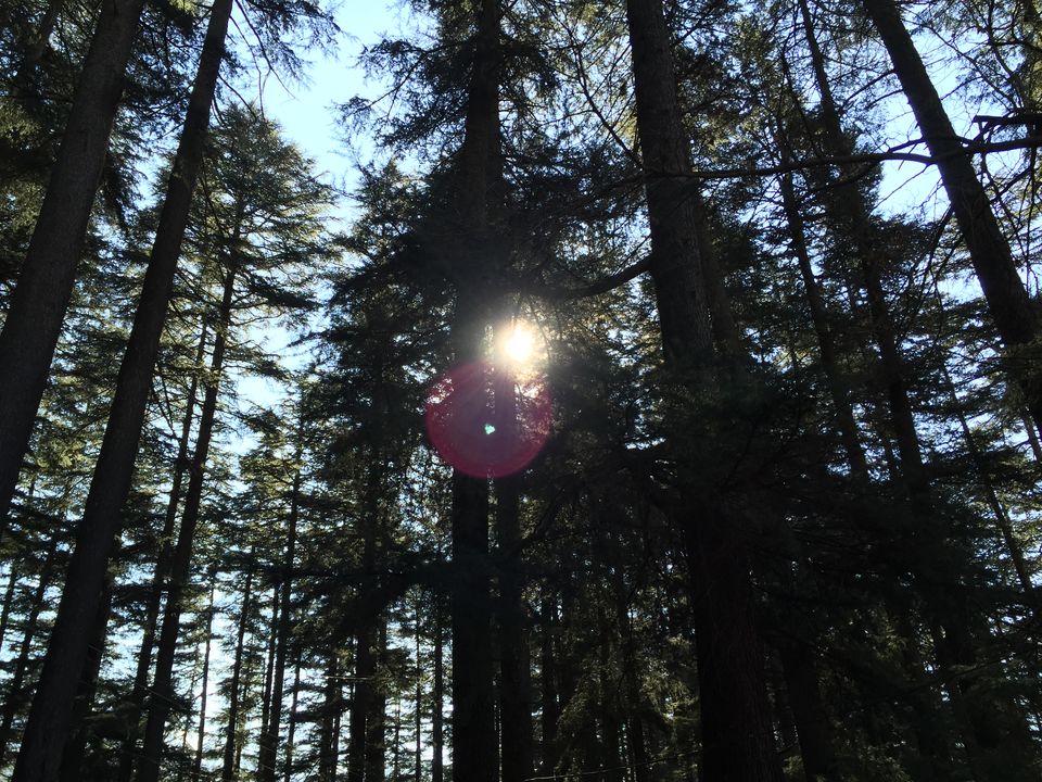Photo of Manali: Beauty Worth A Million Dollar Painting 32/35 by Shambhavi Mishra