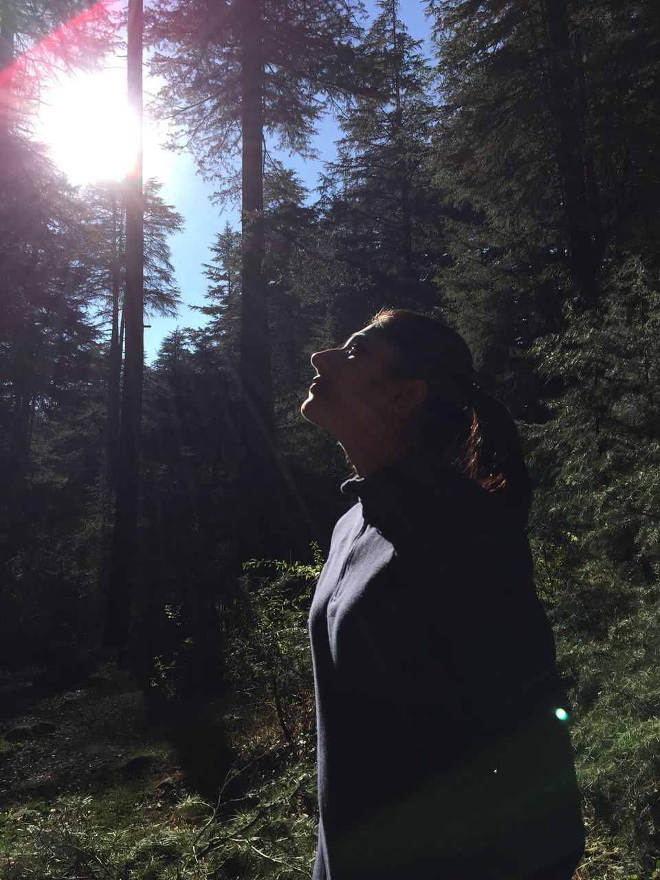 Photo of Manali: Beauty Worth A Million Dollar Painting 34/35 by Shambhavi Mishra