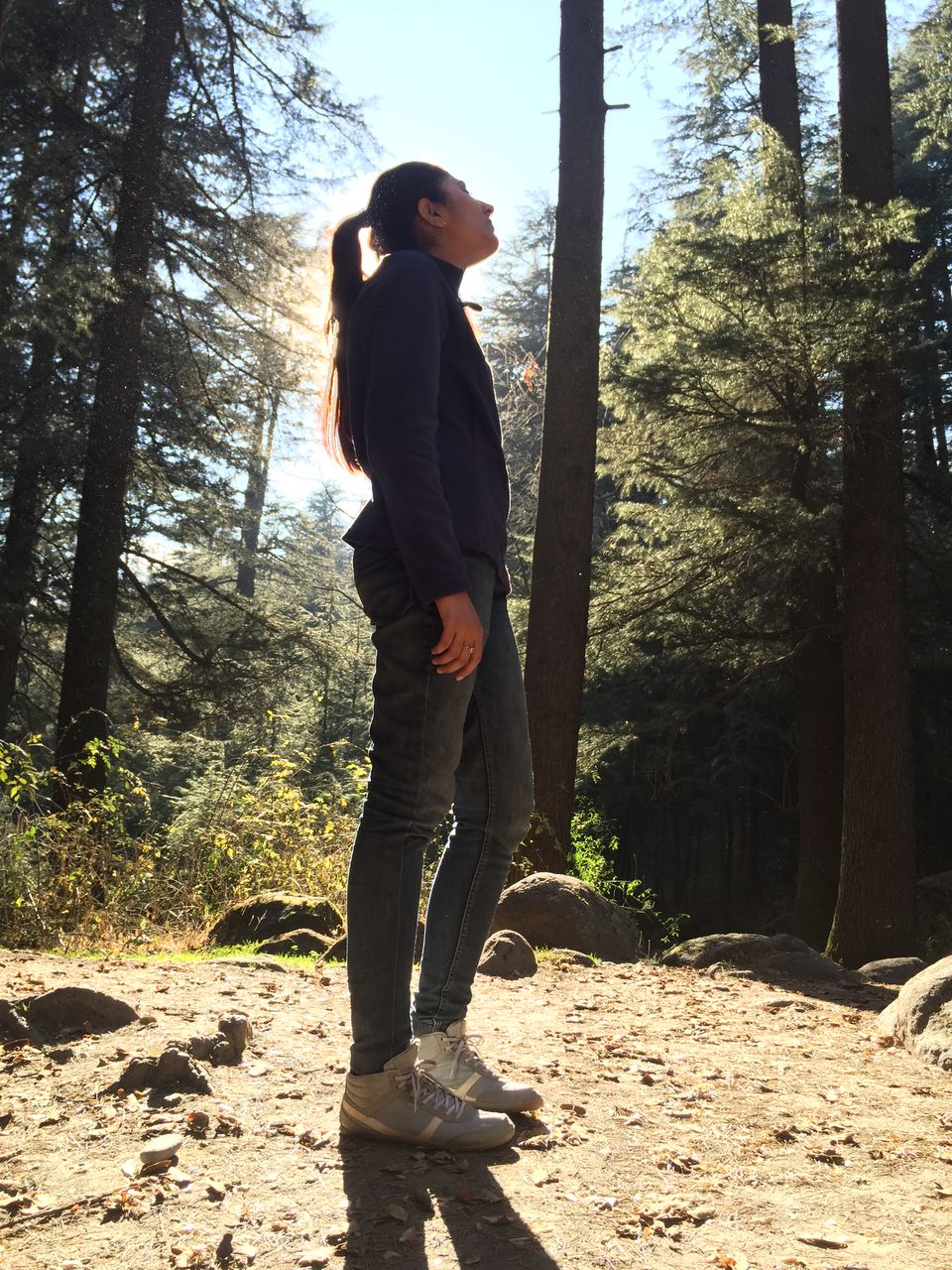 Photo of Manali: Beauty Worth A Million Dollar Painting 35/35 by Shambhavi Mishra