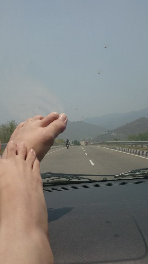Photo of Quick Getaway to Chail and Sadhupul 13/16 by Shambhavi Mishra