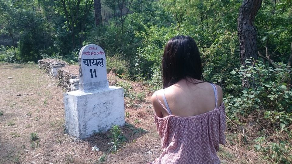 Photo of Quick Getaway to Chail and Sadhupul 15/16 by Shambhavi Mishra