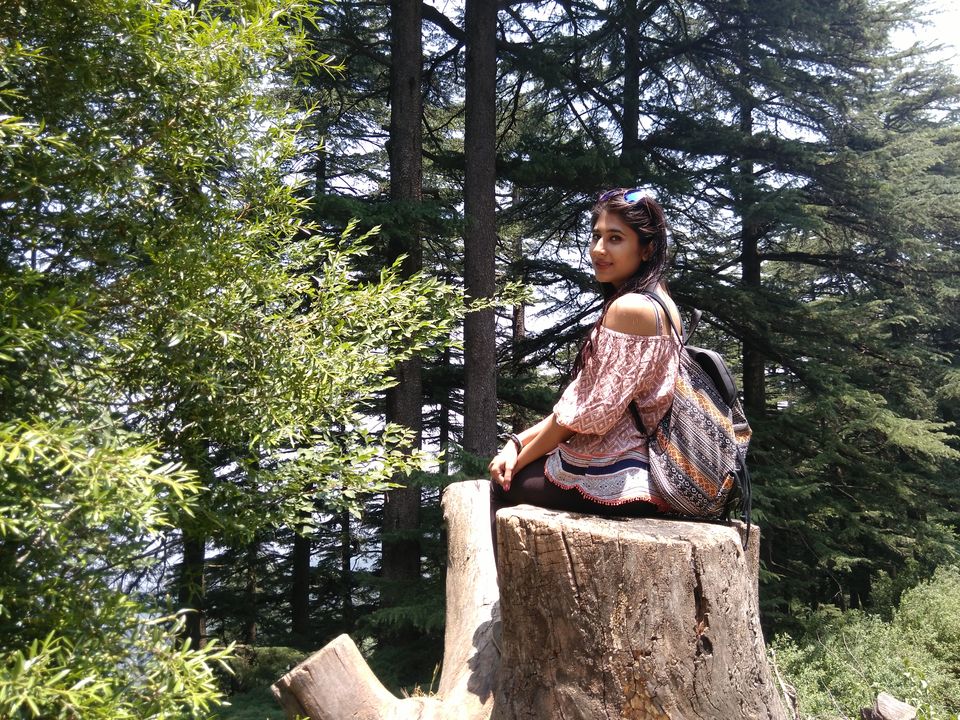 Photo of Quick Getaway to Chail and Sadhupul 10/16 by Shambhavi Mishra