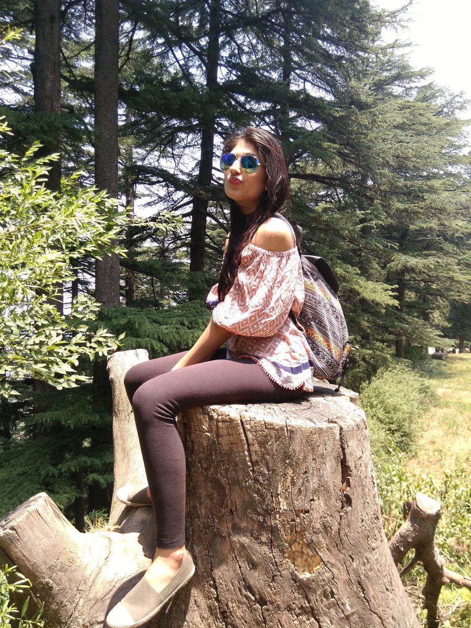 Photo of Quick Getaway to Chail and Sadhupul 11/16 by Shambhavi Mishra