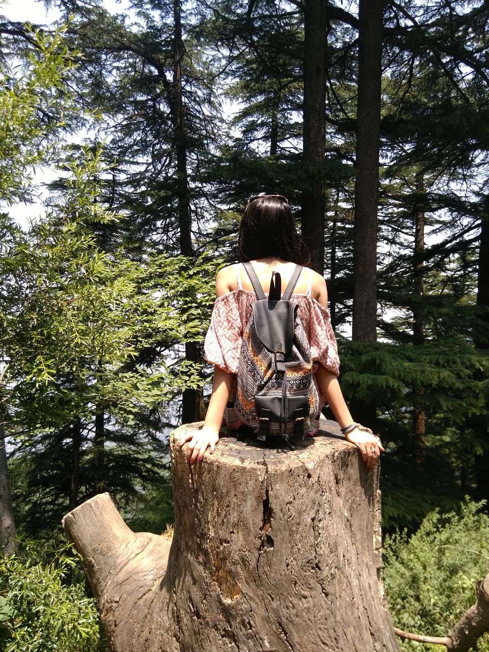 Photo of Quick Getaway to Chail and Sadhupul 12/16 by Shambhavi Mishra
