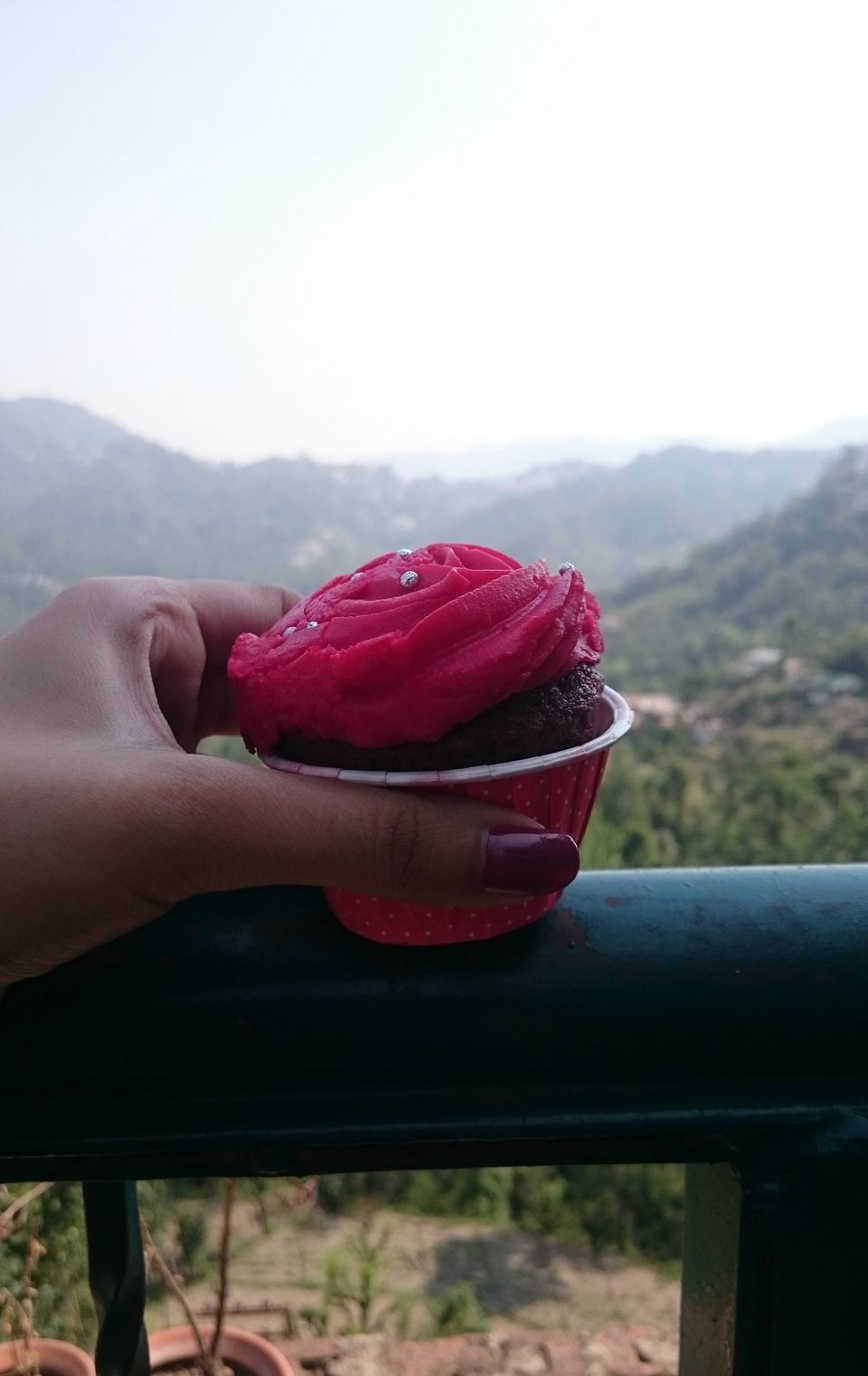 Photo of Quick Getaway to Chail and Sadhupul 1/16 by Shambhavi Mishra