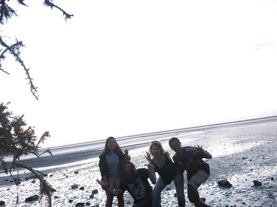 Photo of Backpacking in New Zealand (2 Weeks in 2 Islands) by Vaibhav Annam