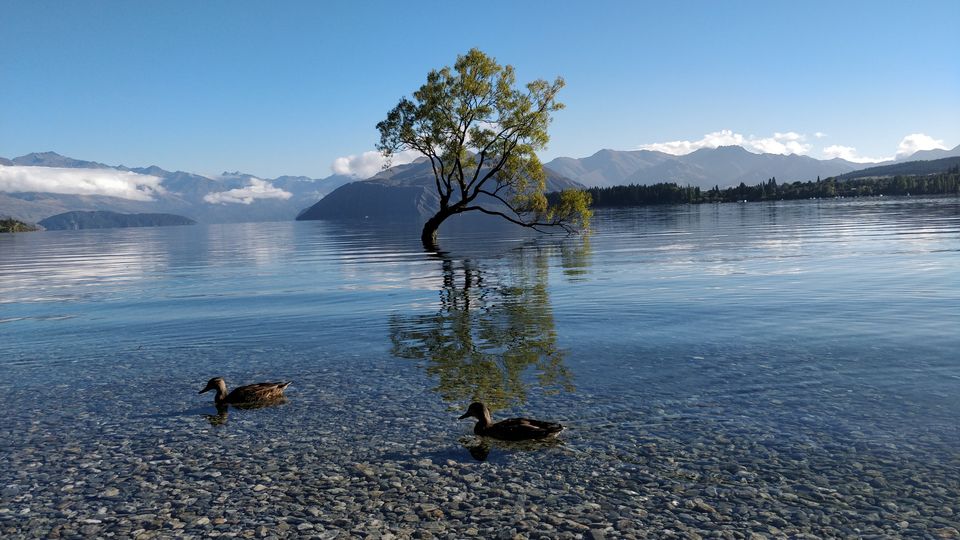 Photo of Wanaka, New Zealand by Vaibhav Annam