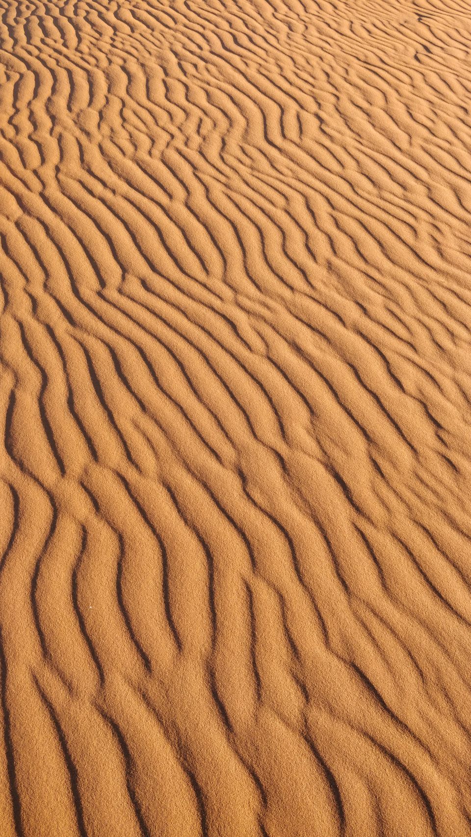 Photo of Backpacking Solo in Morocco 1/1 by Vaibhav Annam