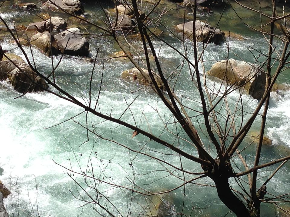 Photo of Kasol:Escapism from the world 4/9 by Swati Thakur