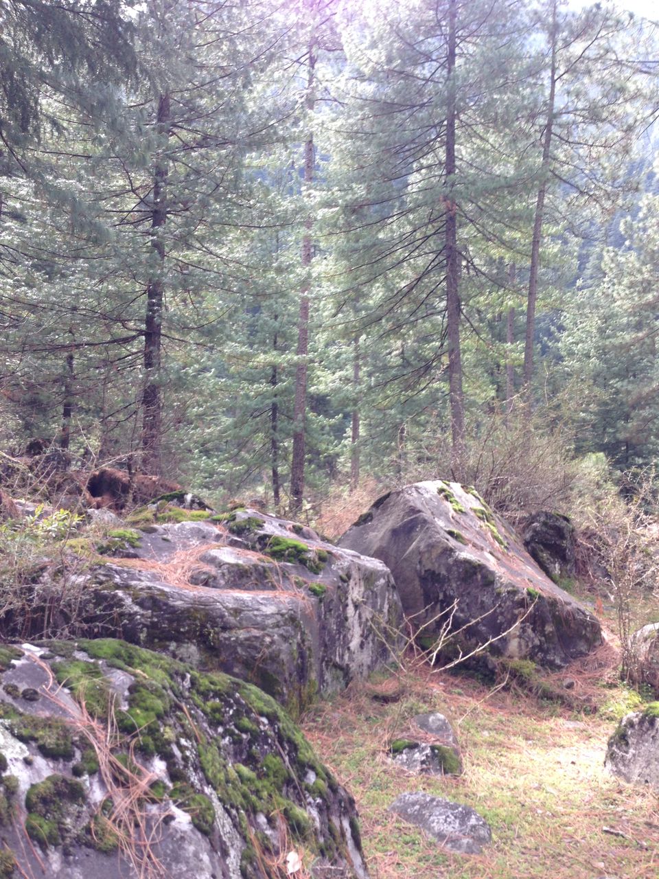 Photo of Kasol:Escapism from the world 5/9 by Swati Thakur