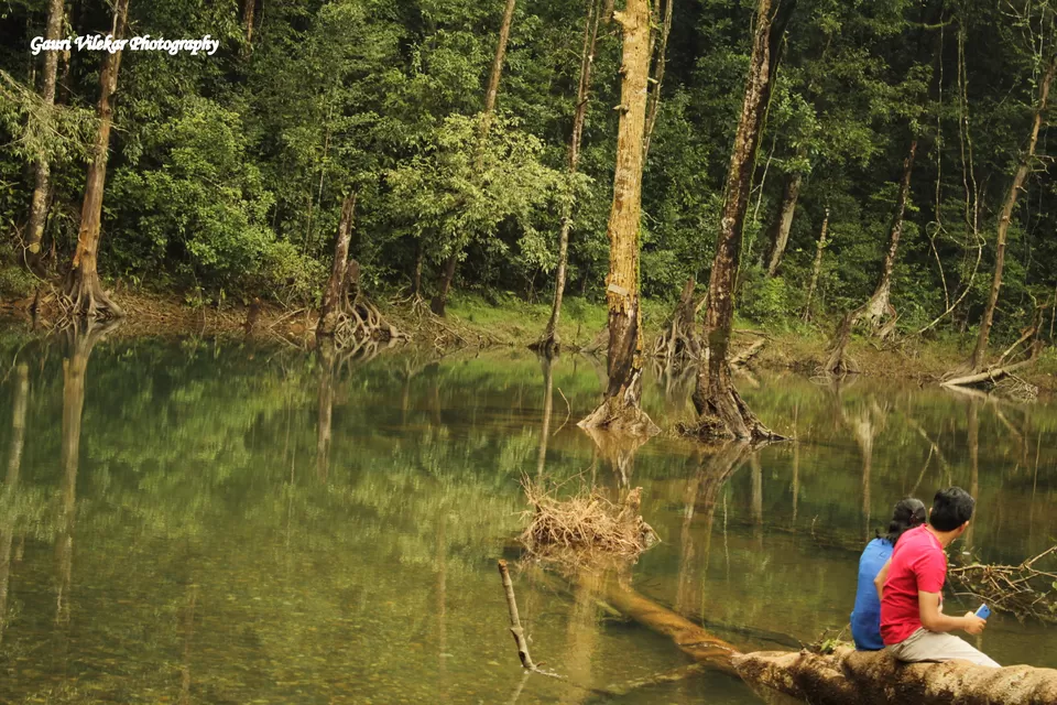 Photo of Agumbe, Karnataka, India by Gauri