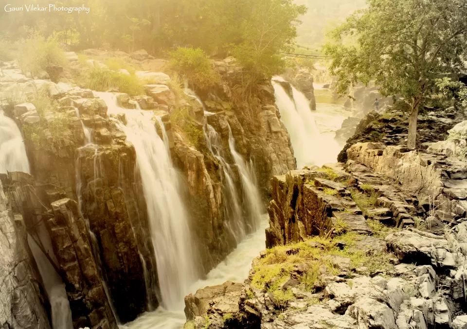 Photo of Hogenakkal Waterfalls, Hoganakkal, Tamil Nadu, India by Gauri
