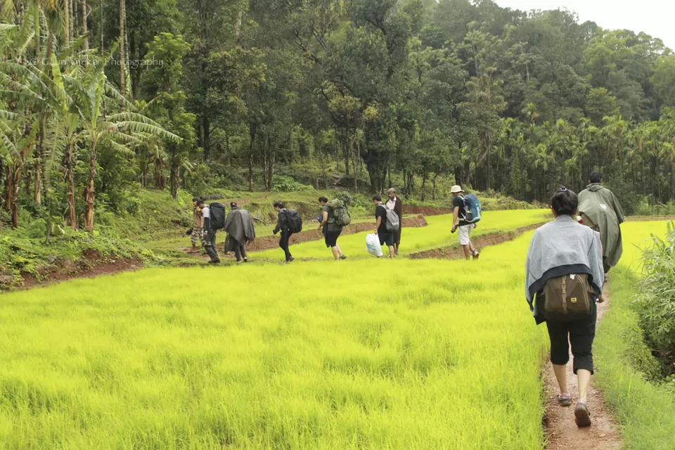 Photo of Chikmagalur, Karnataka, India by Gauri