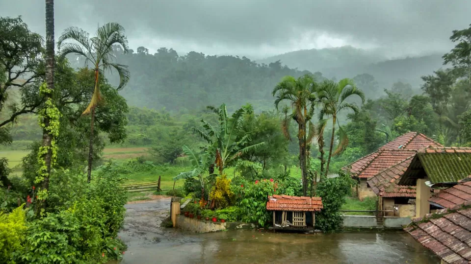 Photo of Coorg, Karnataka, India by Gauri