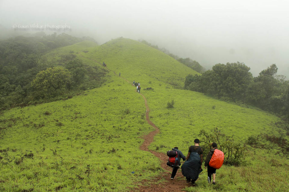 Photo of Ghoomo Karnatak! by Gauri