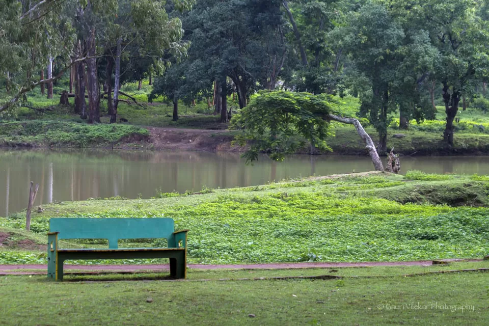Photo of B R Hills, Karnataka, India by Gauri