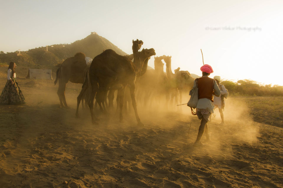 Photo of Pushkar through my lens 8/17 by Gauri