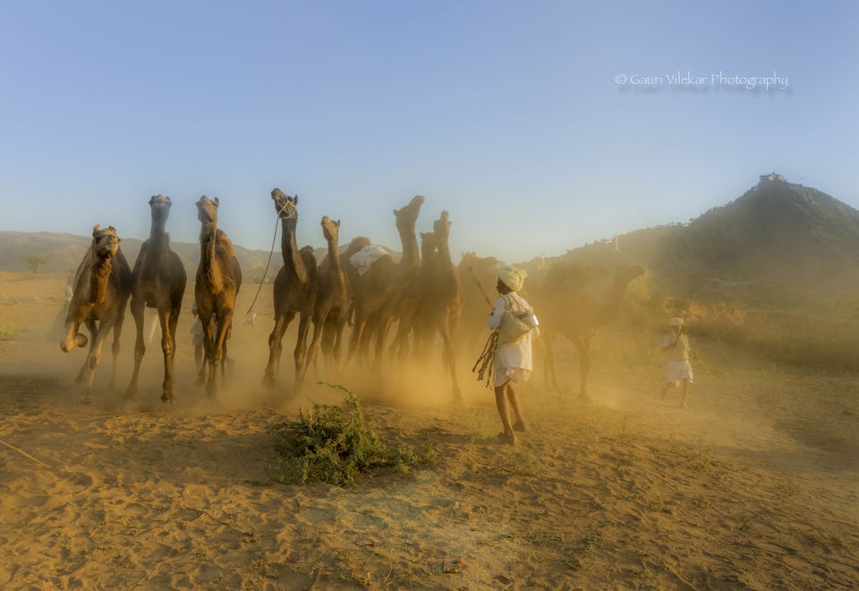 Photo of Pushkar through my lens 12/17 by Gauri