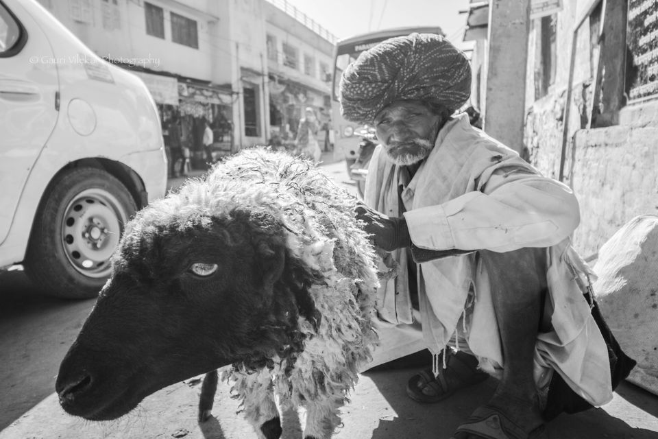 Photo of Pushkar through my lens 16/17 by Gauri