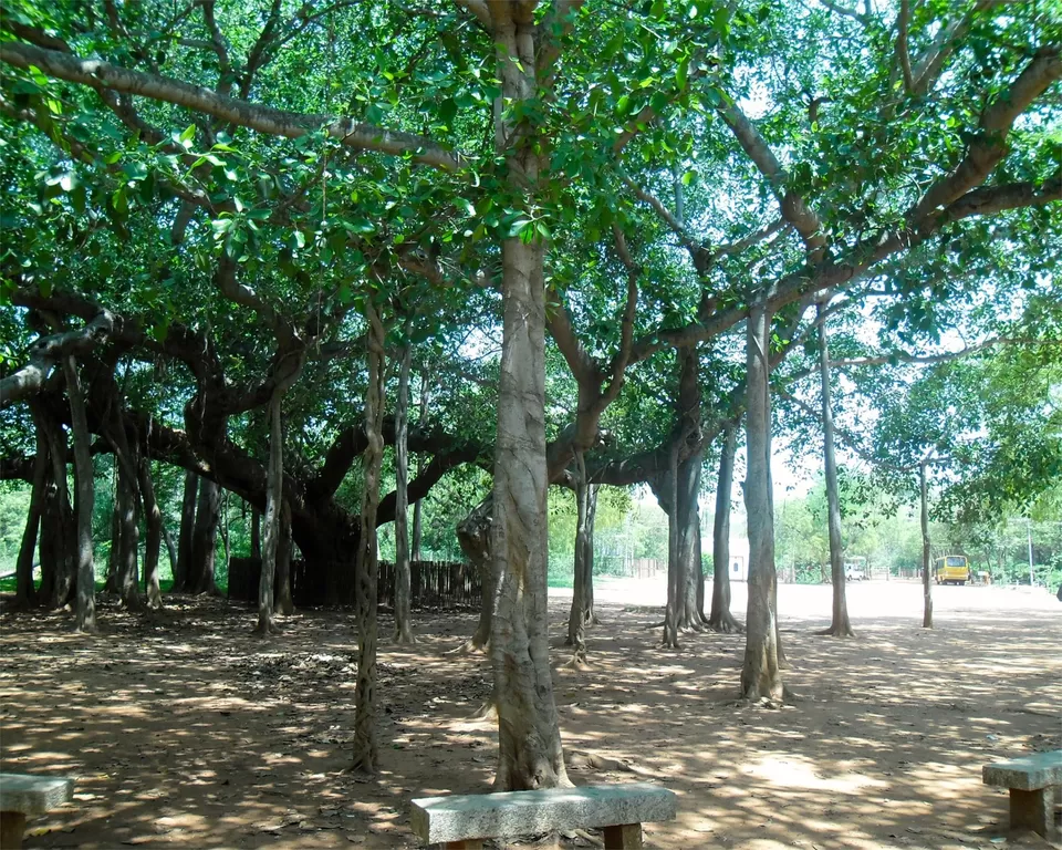 Photo of Pondichéry, Puducherry, India by Nor Amanah