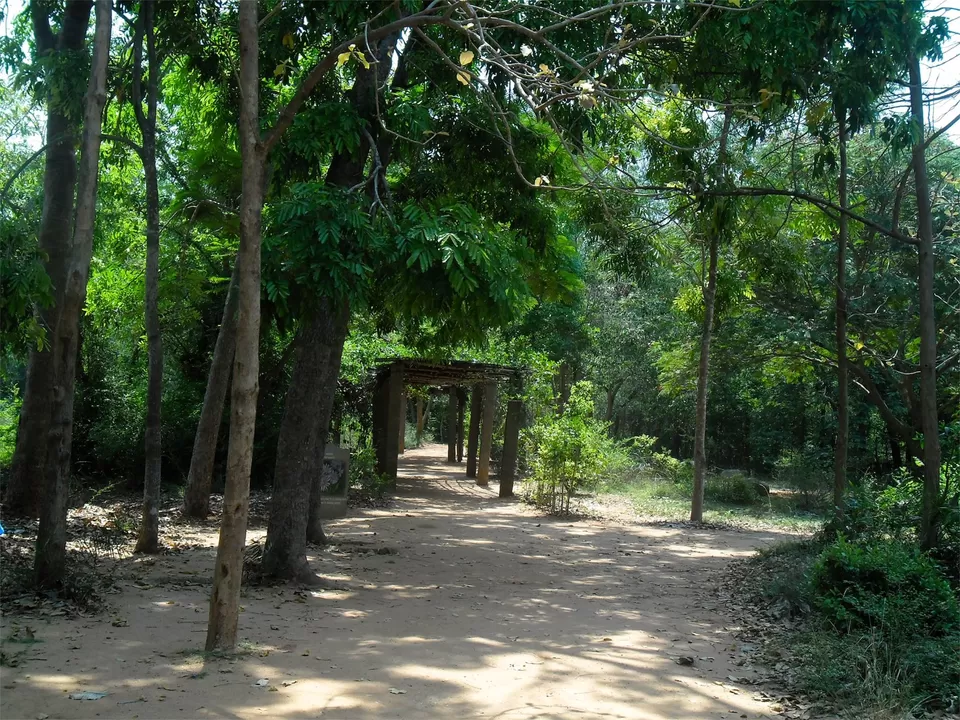 Photo of Pondichéry, Puducherry, India by Nor Amanah