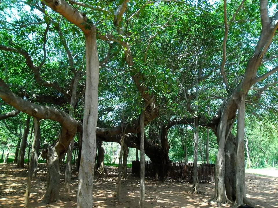 Photo of Pondichéry, Puducherry, India by Nor Amanah
