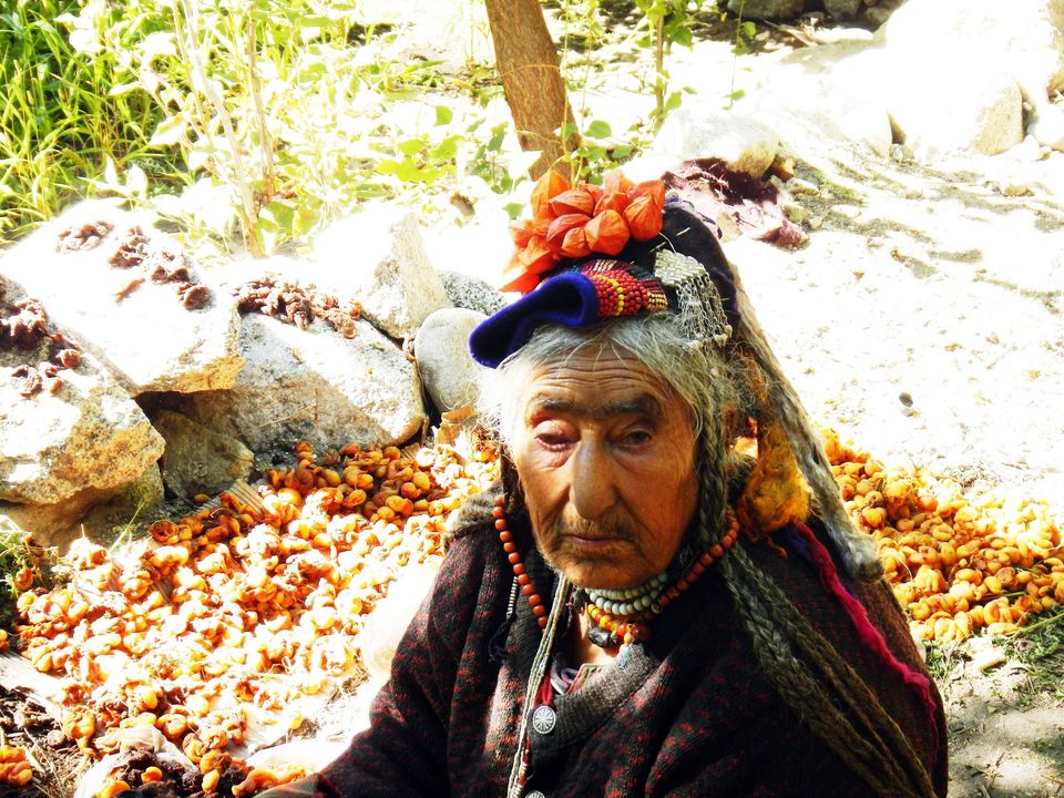 Photo of Decrypting the Lost Tribes of Himalayas: Twigs for tweets! 1/1 by Divya Prasad