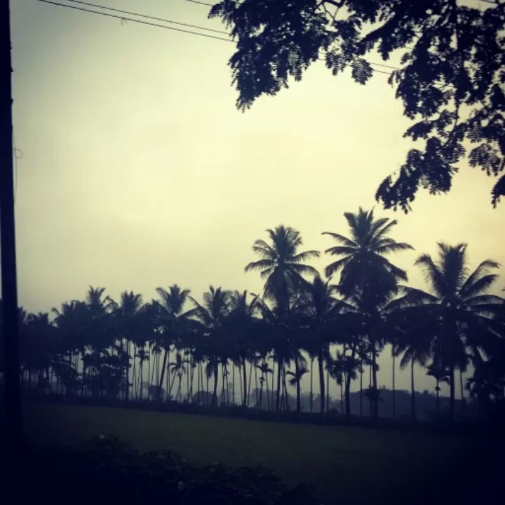 Photo of Coorg, Karnataka, India by Kranthi Kumar