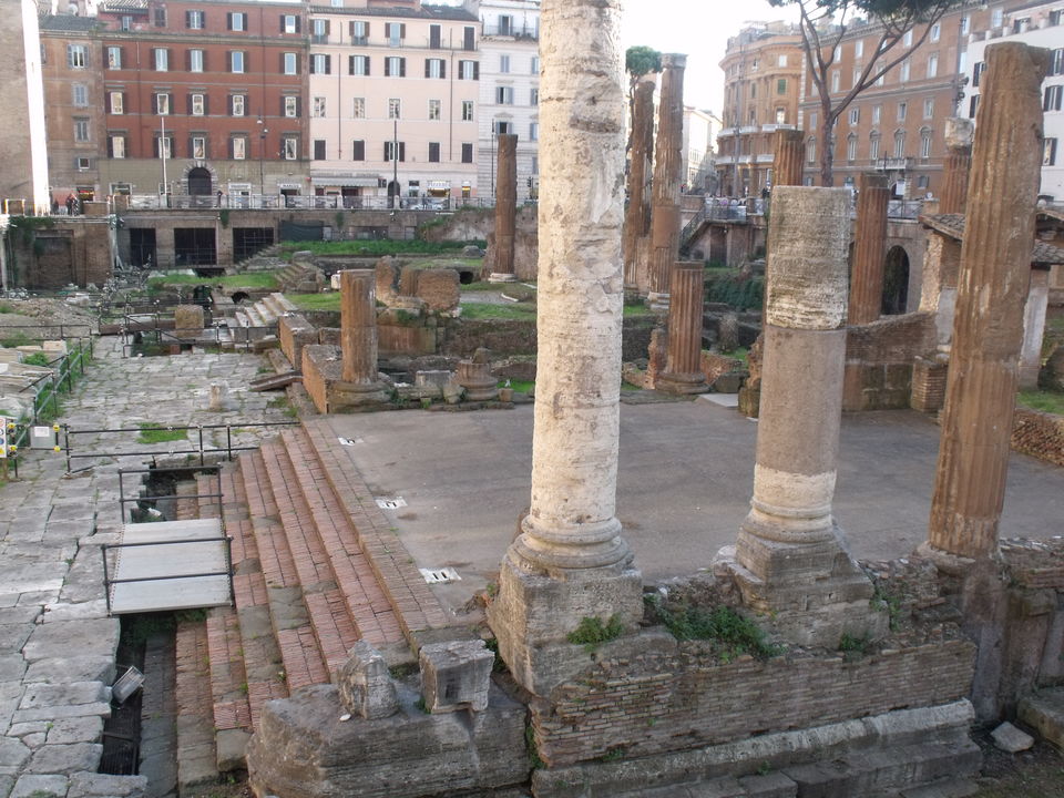 Photo of Walking the All Stars all over Rome 30/50 by Elena