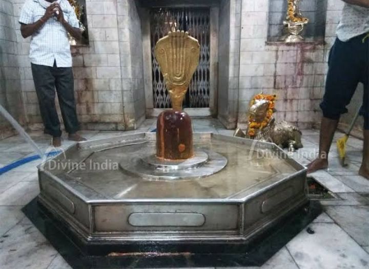 Photo of हाजीपुर में देखने लायक मुख्य जगहें। by Kosha Yadav