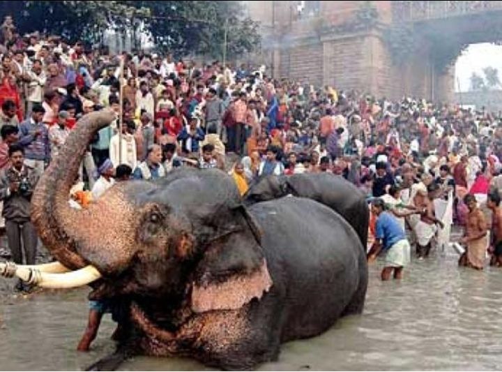 Photo of हाजीपुर में देखने लायक मुख्य जगहें। by Kosha Yadav