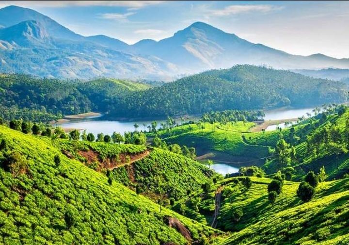 Photo of मुन्नार में घूमने के लिए
12 बेहतरीन खूबसूरत जगहें। by Kosha Yadav