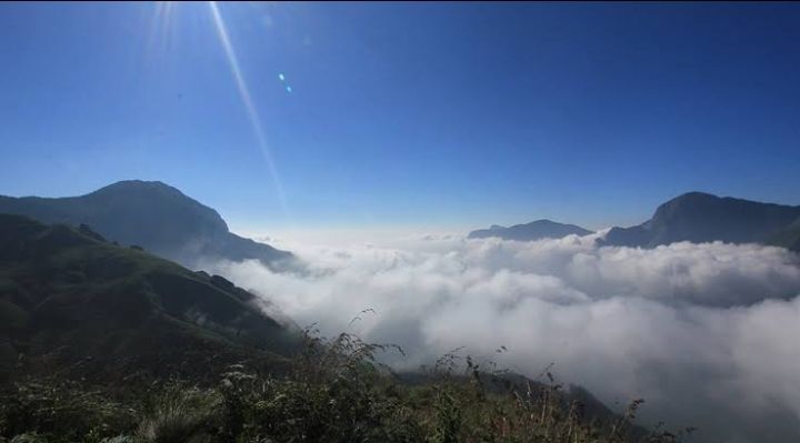 Photo of मुन्नार में घूमने के लिए
12 बेहतरीन खूबसूरत जगहें। by Kosha Yadav