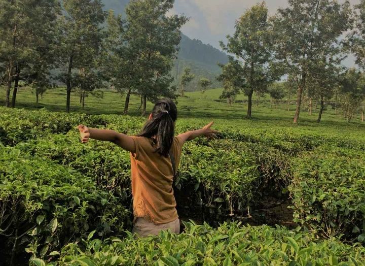 Photo of मुन्नार में घूमने के लिए
12 बेहतरीन खूबसूरत जगहें। by Kosha Yadav