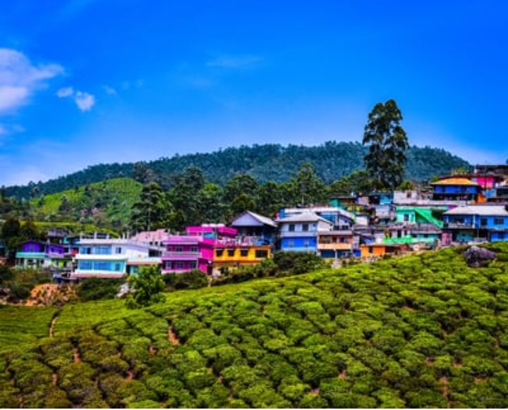 Photo of मुन्नार में घूमने के लिए
12 बेहतरीन खूबसूरत जगहें। by Kosha Yadav