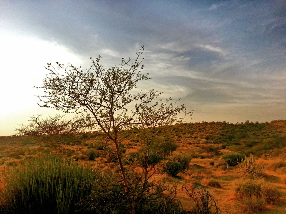 Photo of A Soul Filling Night in Desert Under Open Sky by Rashmi Prasanna