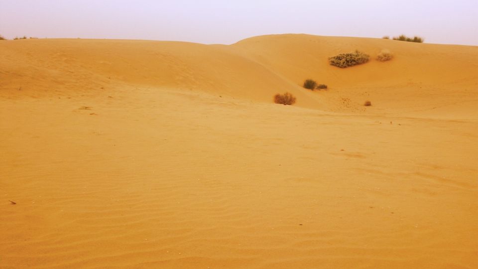 Photo of A Soul Filling Night in Desert Under Open Sky by Rashmi Prasanna